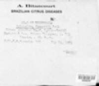 Elsinoe fawcettii image